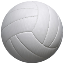 Volleyballs